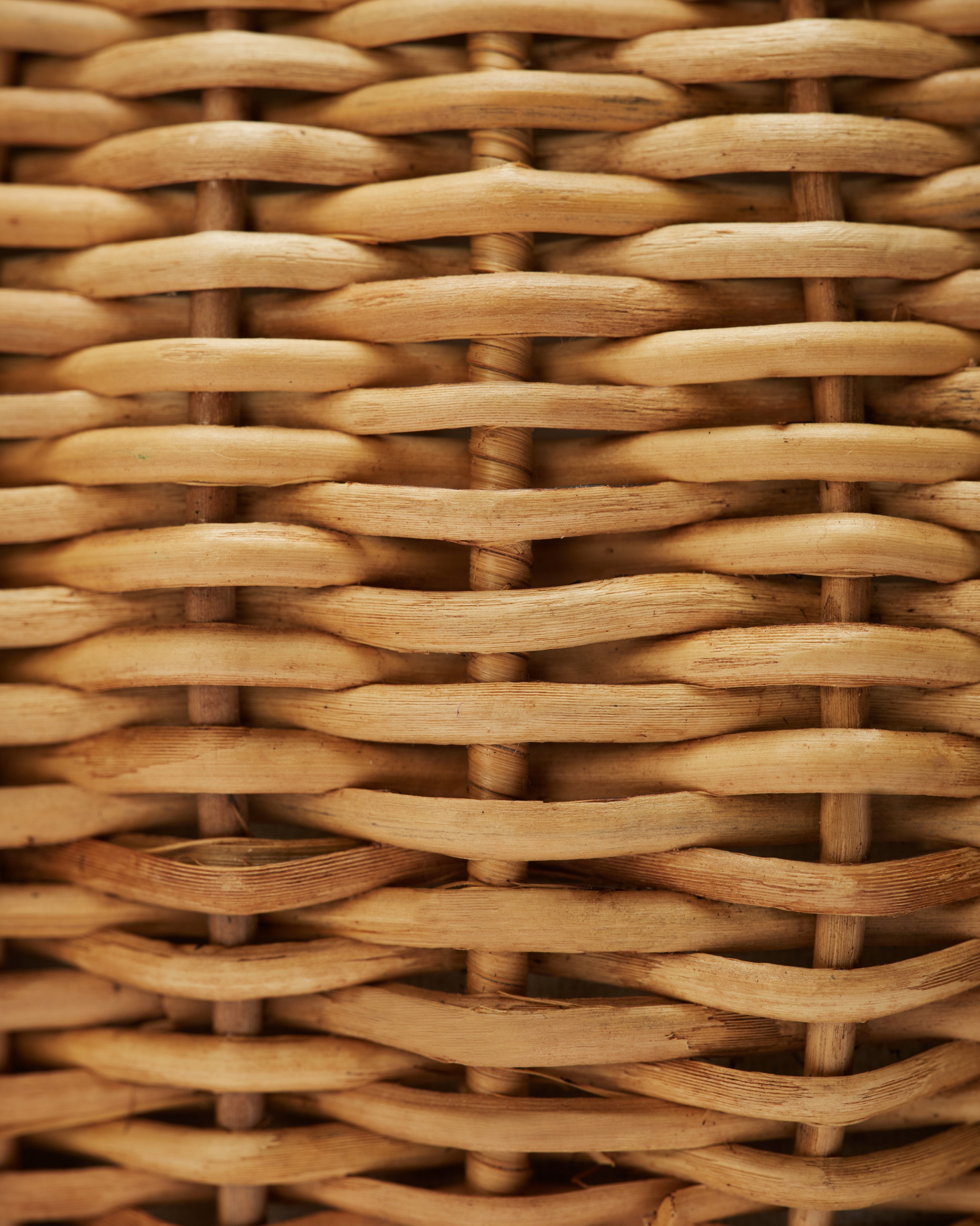 FIBRAS NATURAIS