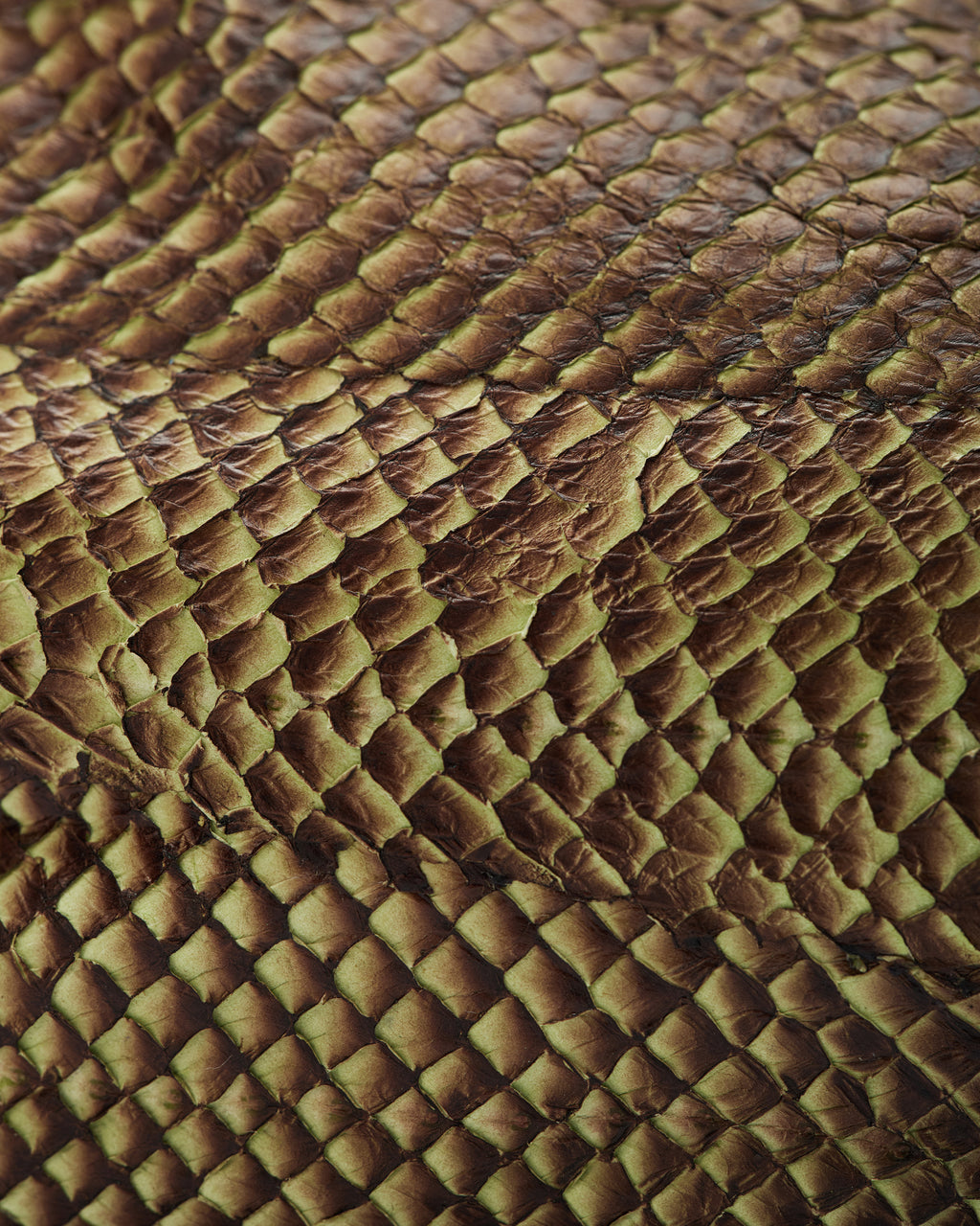 BIGO SALMÃO BAG