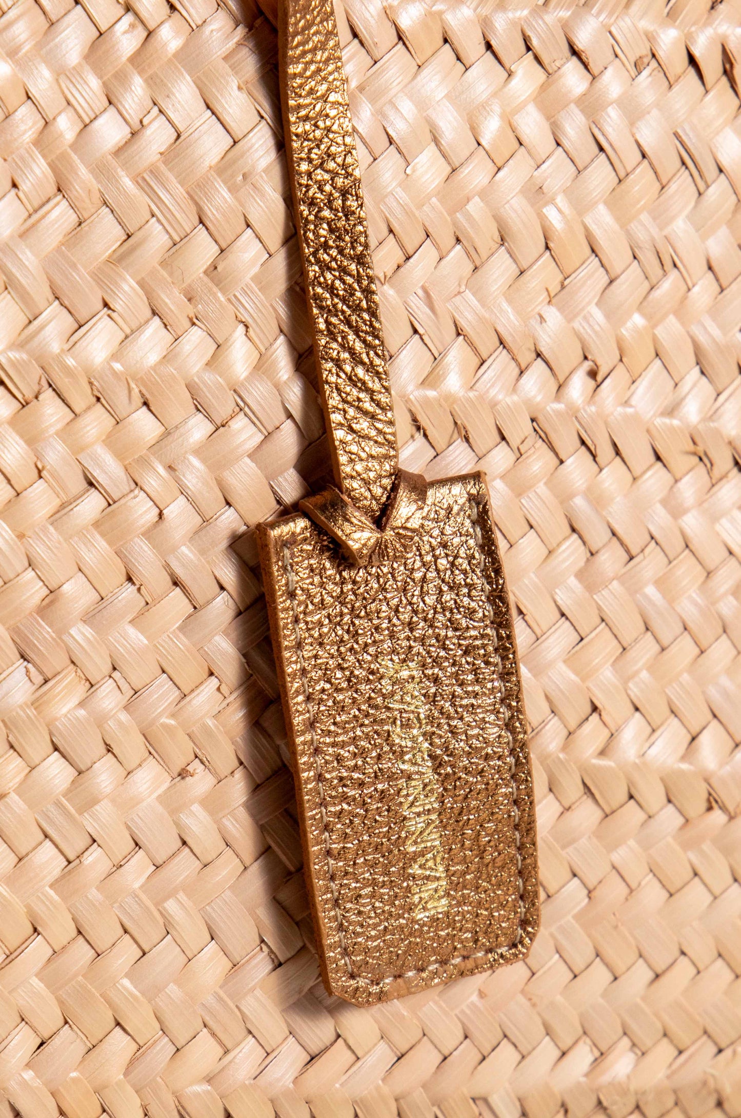 VANESSA M BAG